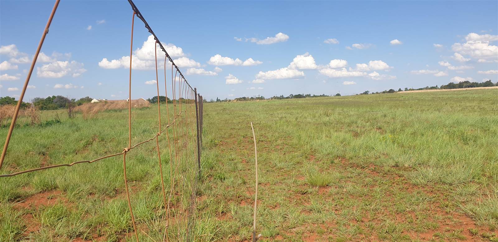 10 ha Land available in Bashewa photo number 9