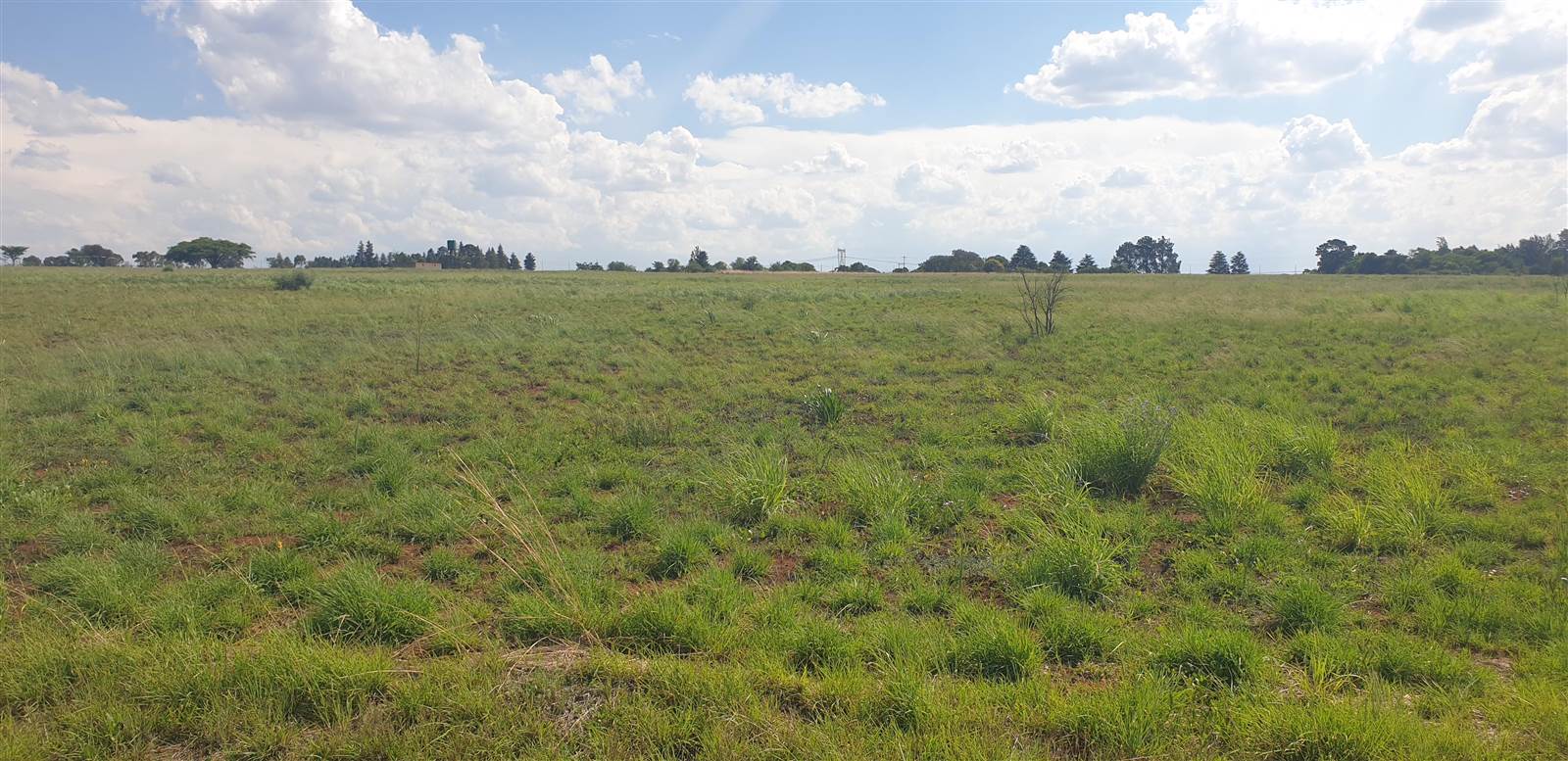 10 ha Land available in Bashewa photo number 3