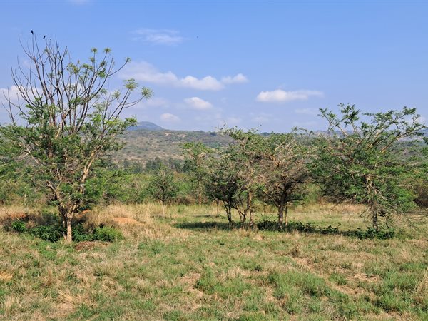 2 100 m² Land 2 100 m² Land