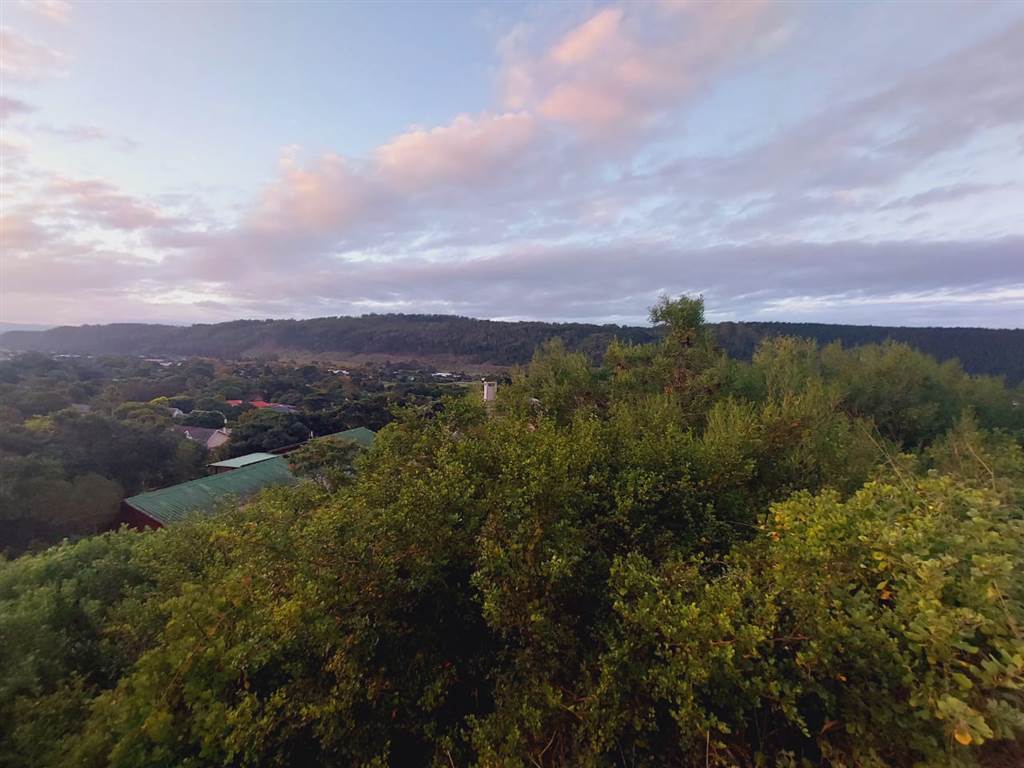 1335 m² Land available in Sedgefield photo number 10
