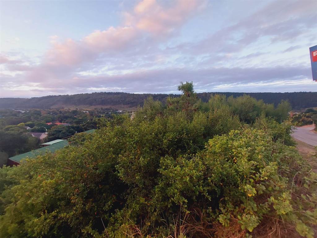 1335 m² Land available in Sedgefield photo number 7