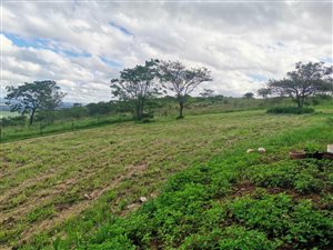 400 m² Land available in Bishopstowe