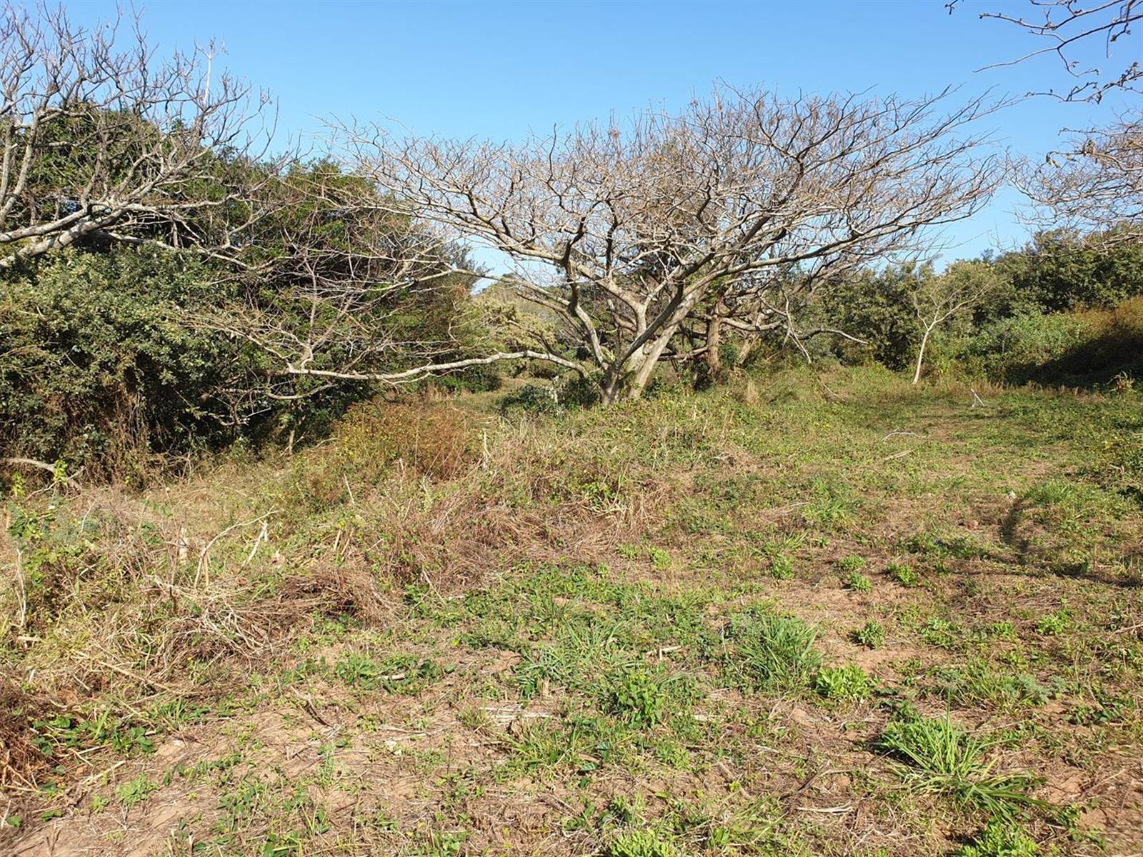 1083 m² Land available in Elaleni Coastal Forest Estate photo number 9