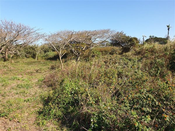 1083 m² Land available in Elaleni Coastal Forest Estate