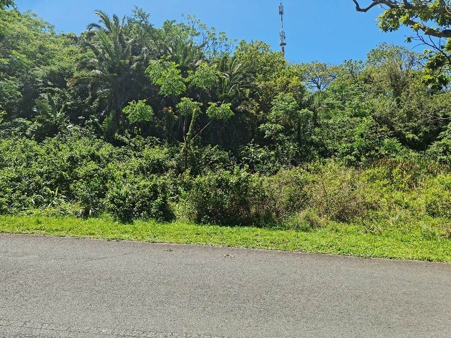 3552 m² Land available in Mtwalume photo number 3
