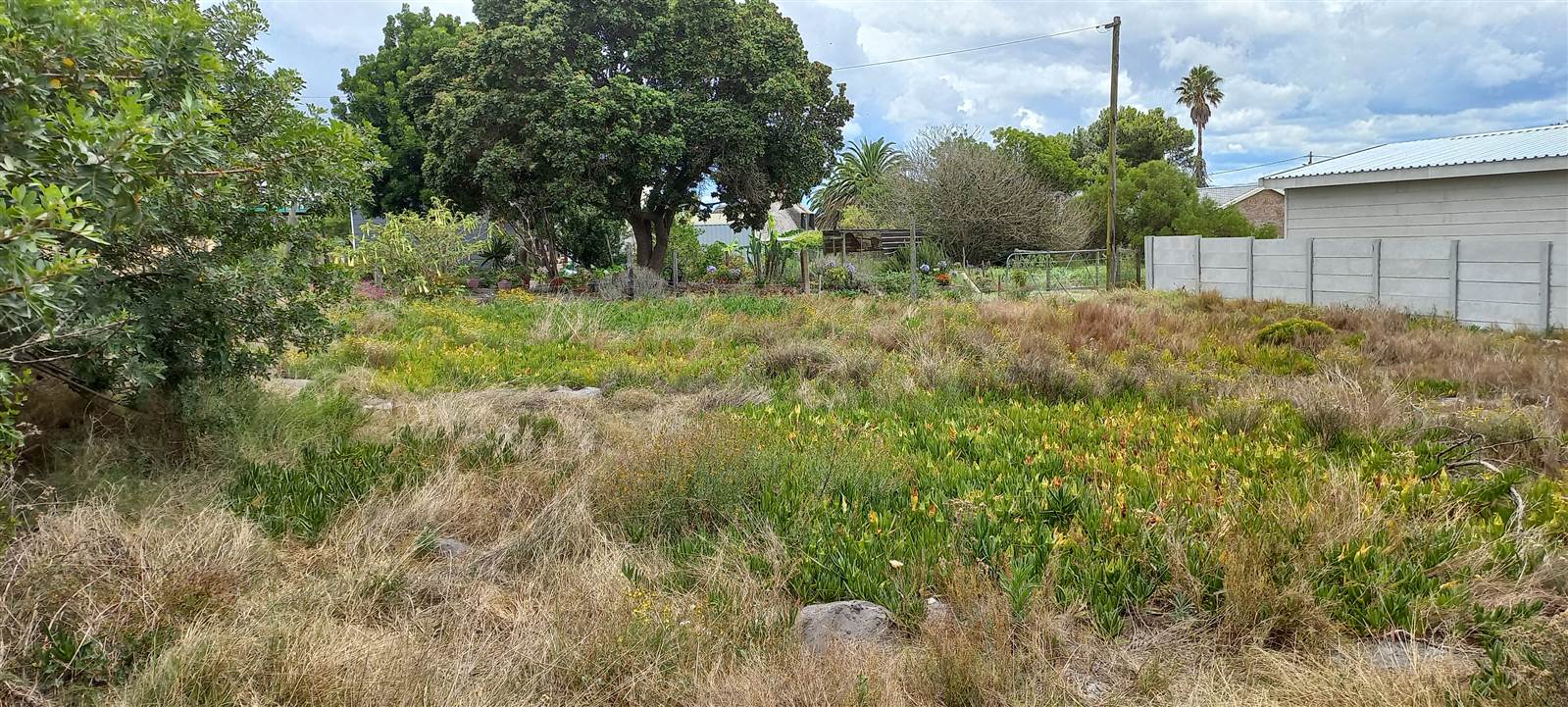 1076 m² Land available in Albertinia photo number 5