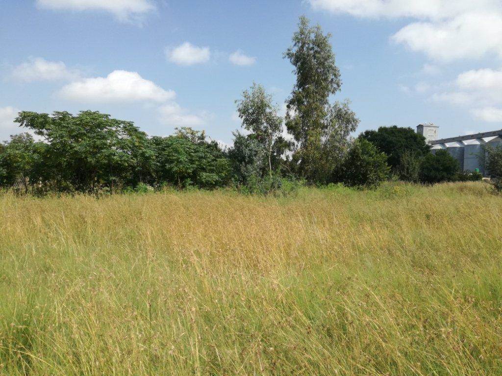 743 m² Land available in Derby photo number 8