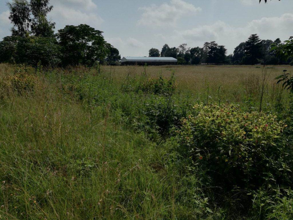 743 m² Land available in Derby photo number 3