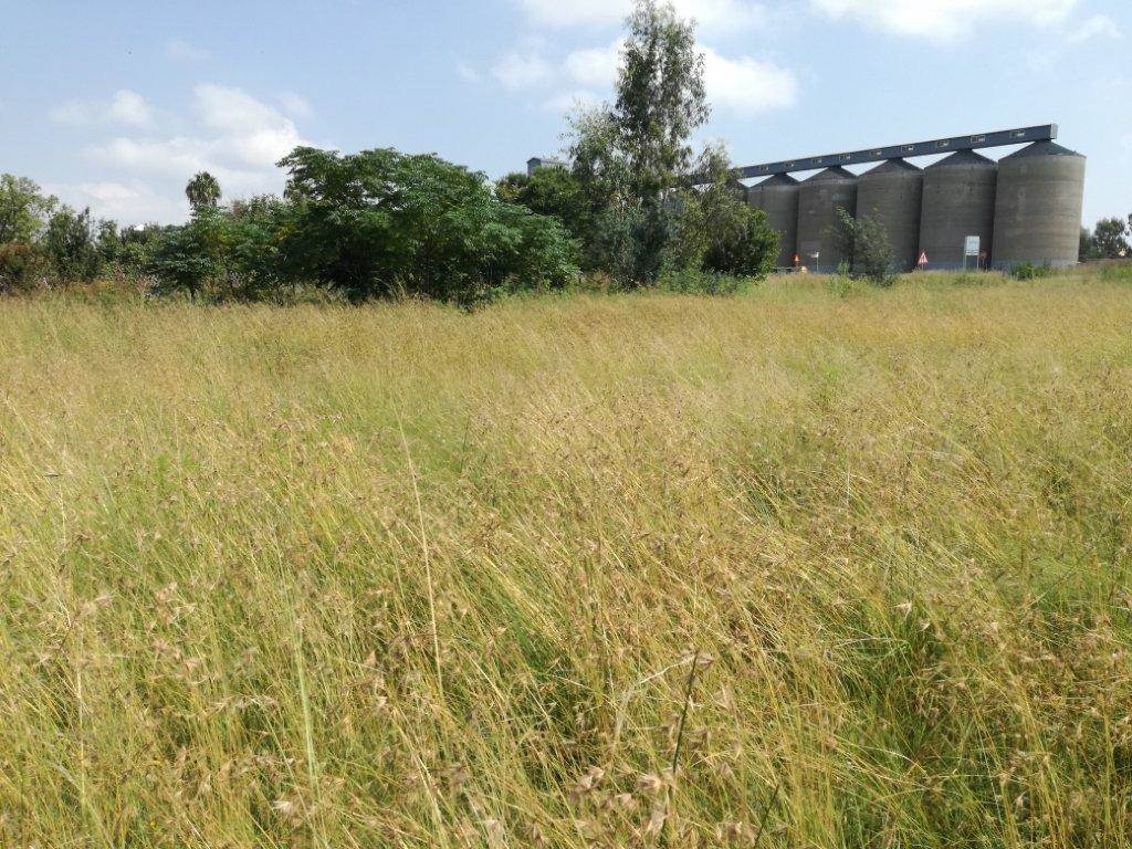743 m² Land available in Derby photo number 11