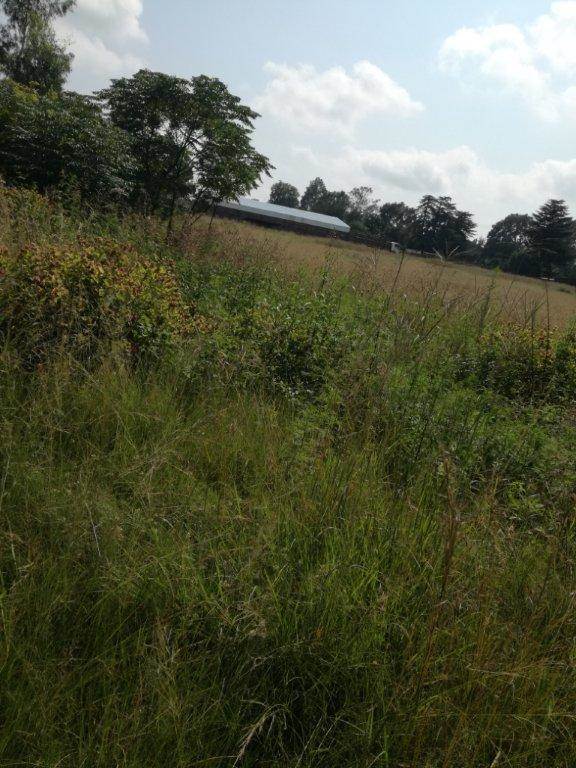 743 m² Land available in Derby photo number 2
