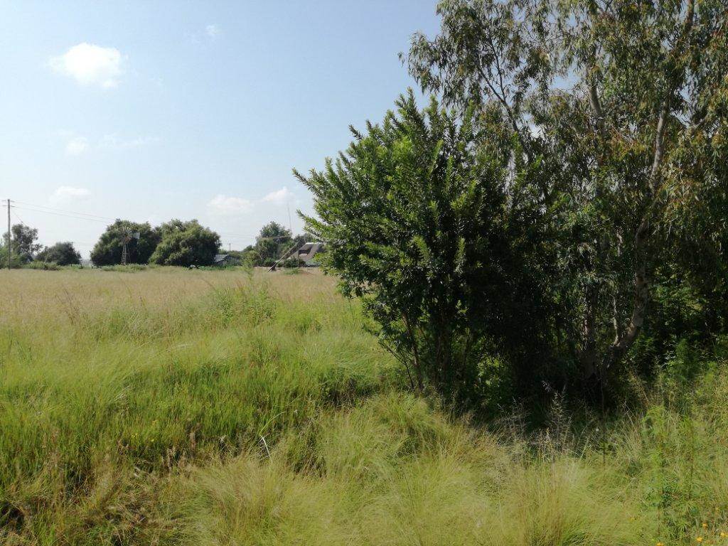 743 m² Land available in Derby photo number 5