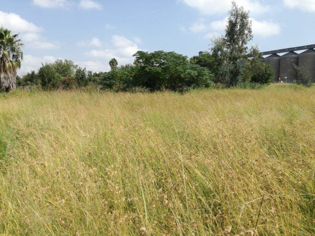 743 m² Land available in Derby photo number 12