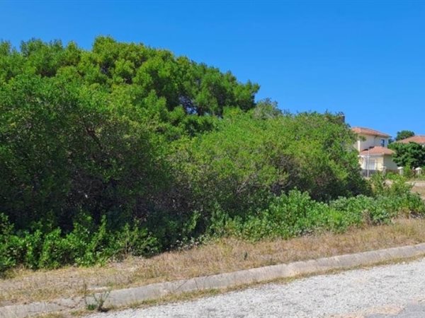 737 m² Land available in St Francis Bay