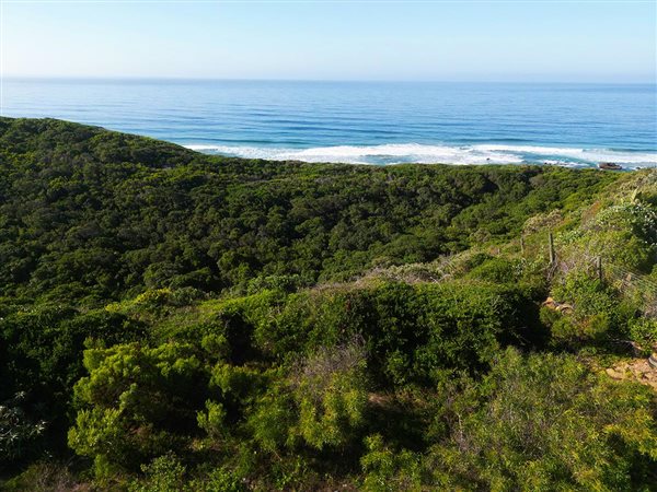 1495 m² Land available in Wilderness