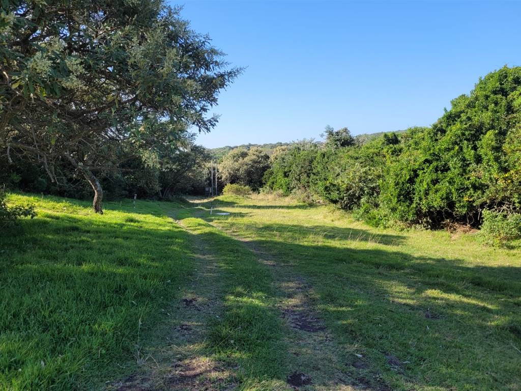 579 m² Land available in Cove Rock photo number 1