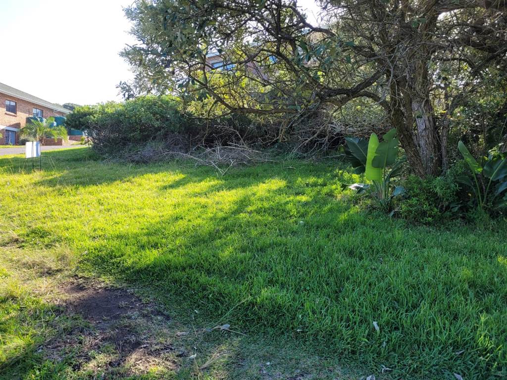 579 m² Land available in Cove Rock photo number 3