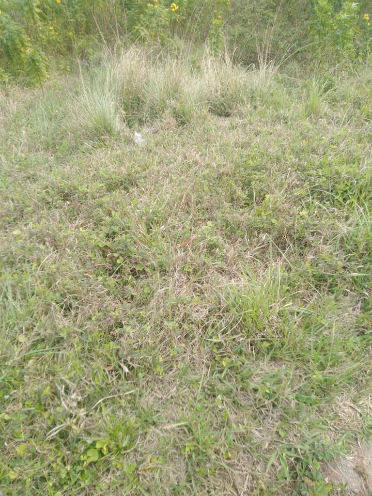 294 m² Land available in Klaarwater photo number 3