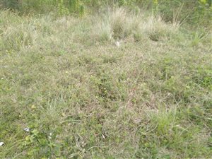 294 m² Land available in Klaarwater