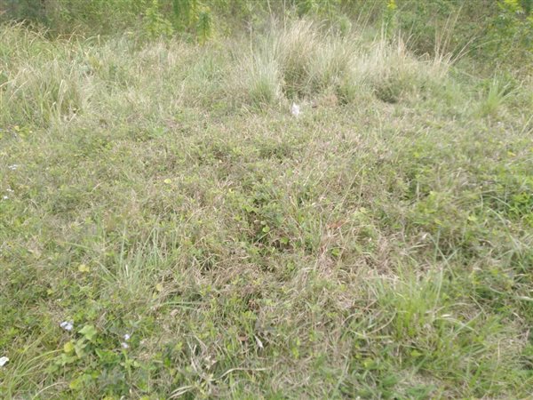 294 m² Land available in Klaarwater