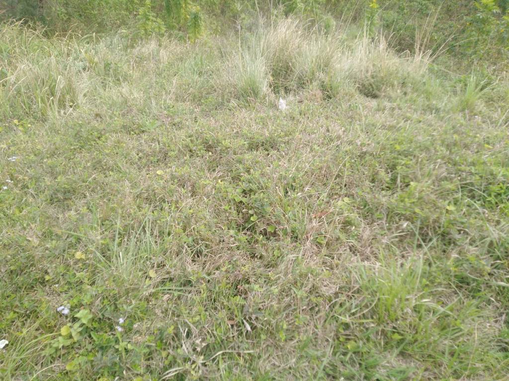 294 m² Land available in Klaarwater photo number 1