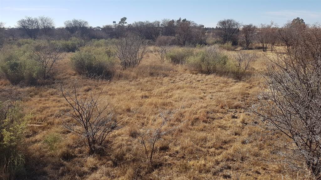 784 m² Land available in Parys Golf Estate photo number 14