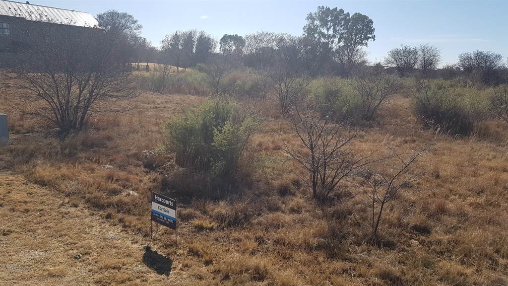 784 m² Land available in Parys Golf Estate photo number 3