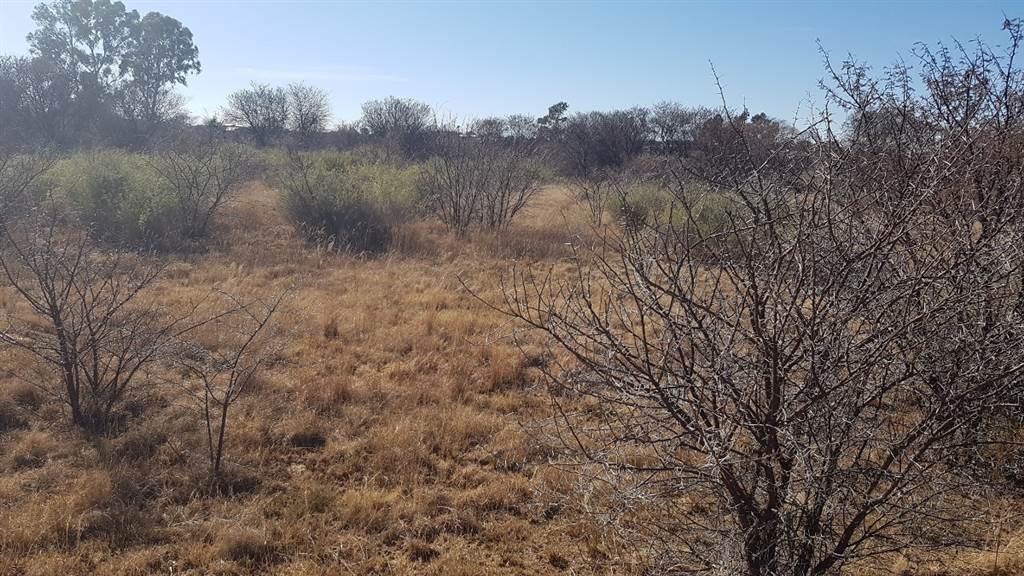 784 m² Land available in Parys Golf Estate photo number 2
