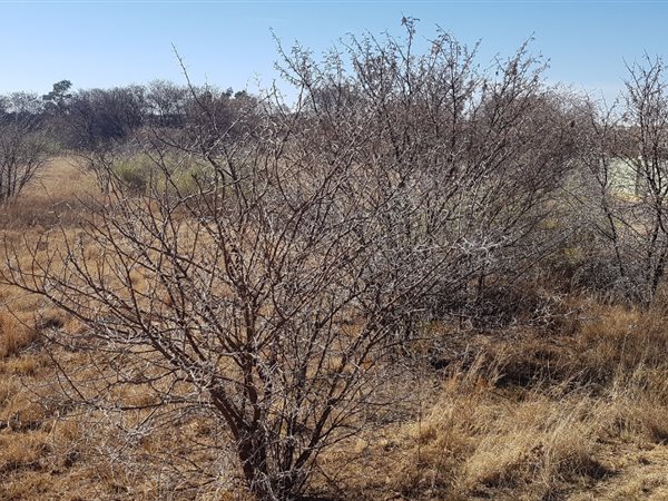 784 m² Land available in Parys Golf Estate