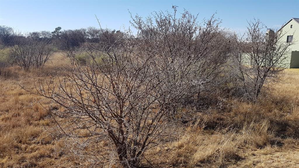 784 m² Land available in Parys Golf Estate photo number 1
