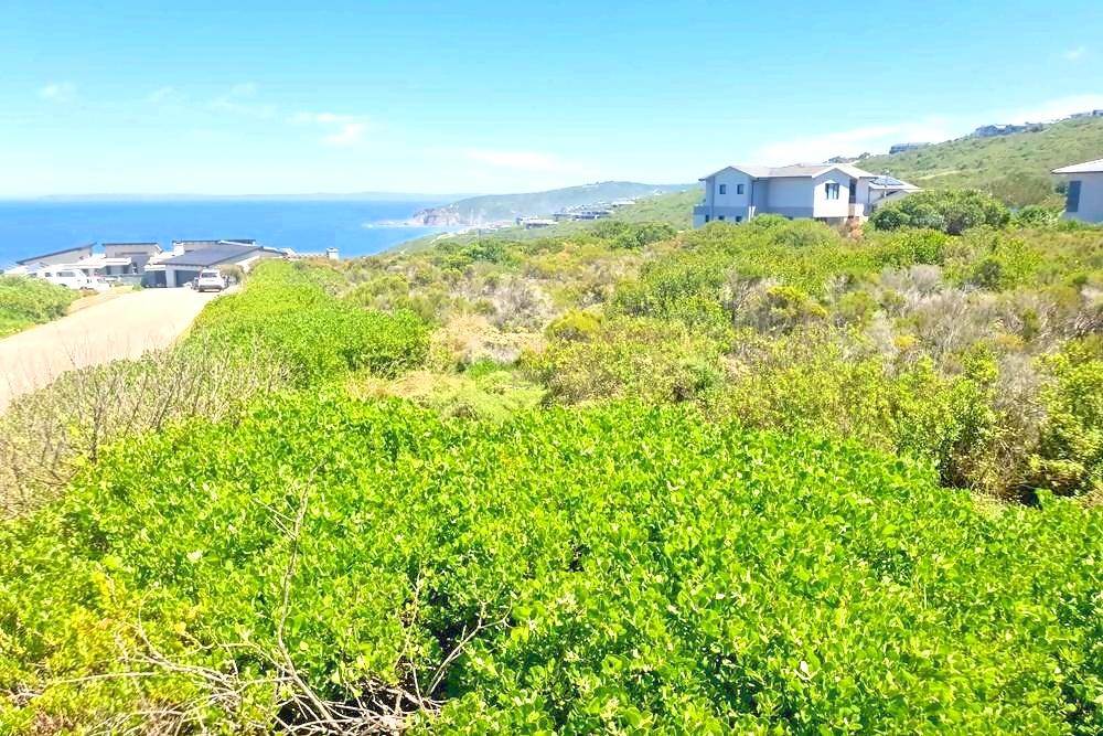 2486 m² Land available in Herolds Bay photo number 6