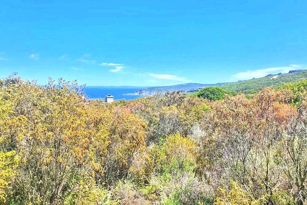 2486 m² Land available in Herolds Bay photo number 8