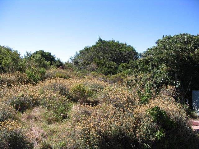 573 m² Land available in Kenton-on-Sea photo number 5