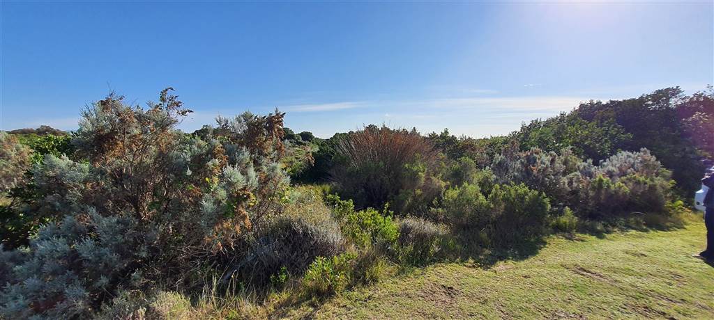 1210 m² Land available in St Francis Links photo number 1