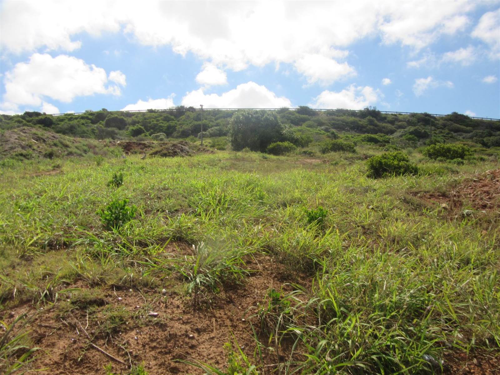 3968 m² Land available in Diaz Beach photo number 2