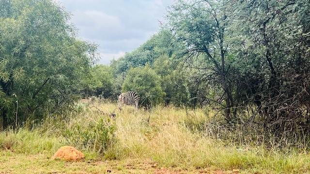 776 m² Land available in Leloko photo number 7