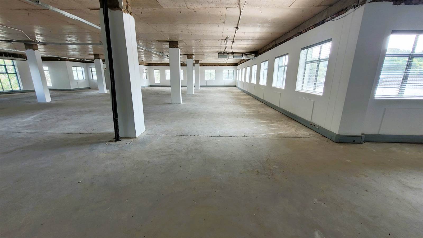 455  m² Office Space in Hillcrest photo number 5