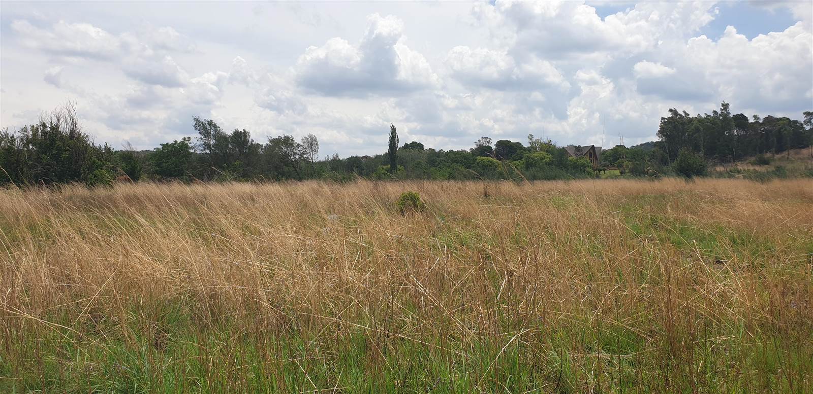 8 ha Land available in Tierpoort photo number 8