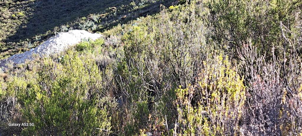 1400 m² Land available in Montagu photo number 5