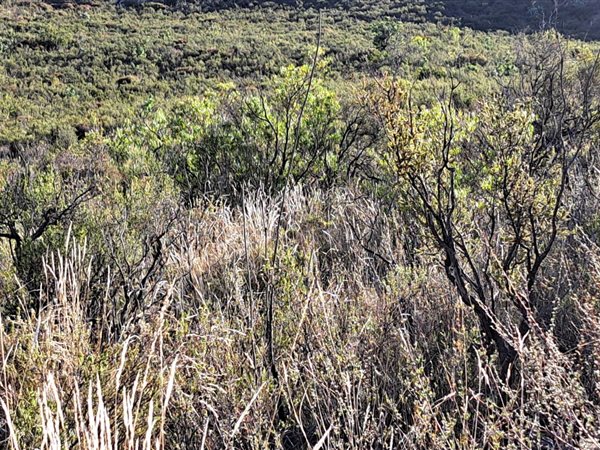 1400 m² Land available in Montagu
