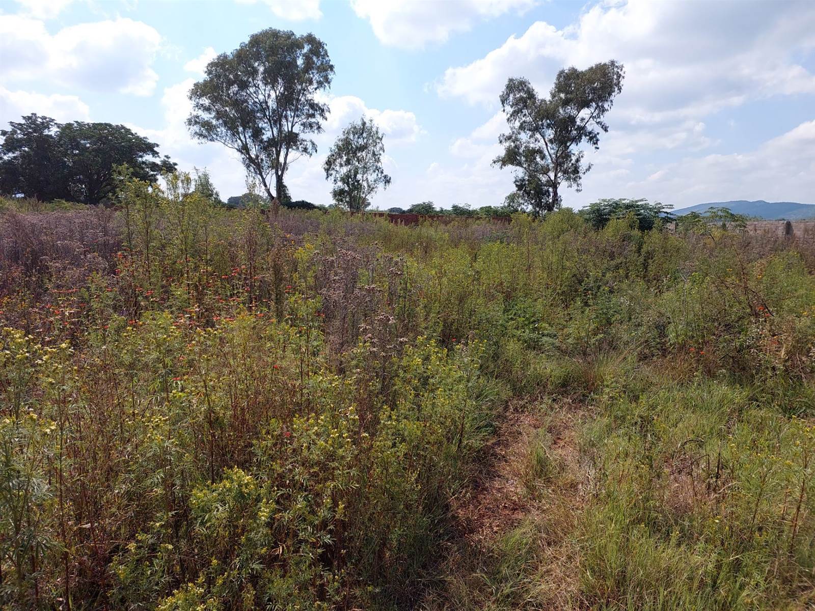 1 ha Land available in Rietfontein photo number 6