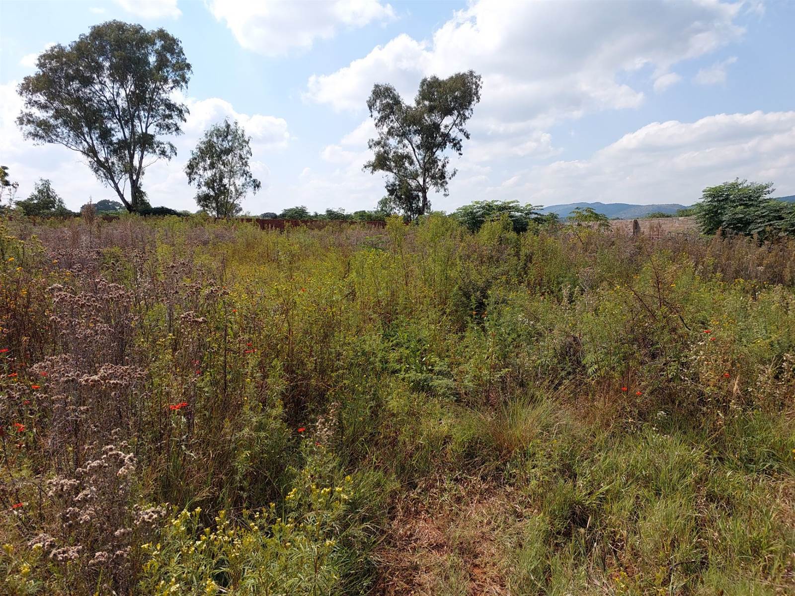 1 ha Land available in Rietfontein photo number 7