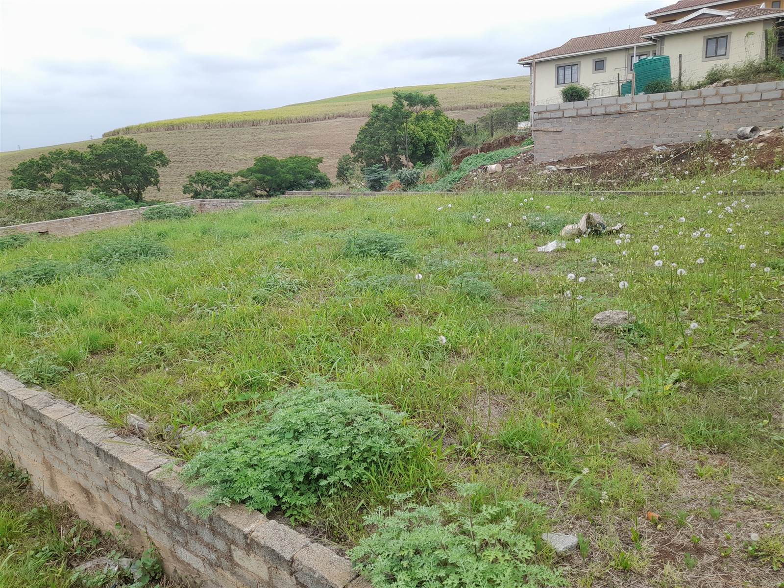 566 m² Land available in Belvedere photo number 4
