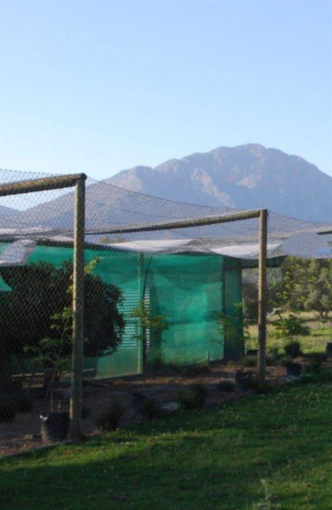 1.1 ha Farm in Tulbagh photo number 30