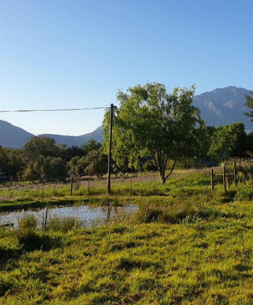 1.1 ha Farm in Tulbagh photo number 8
