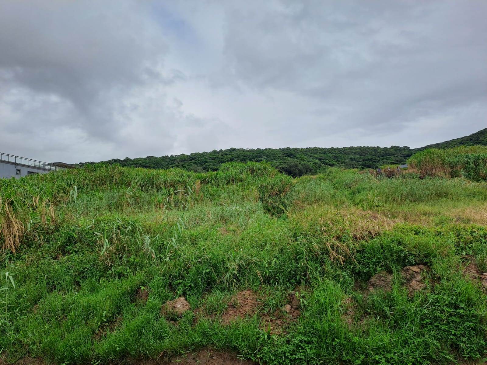 1747 m² Land available in Desainagar photo number 3