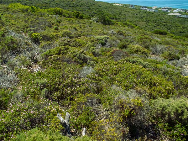 3 800 m² Land 3 800 m² Land