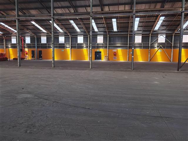 2800  m² Commercial space in Oos-Einde photo number 19