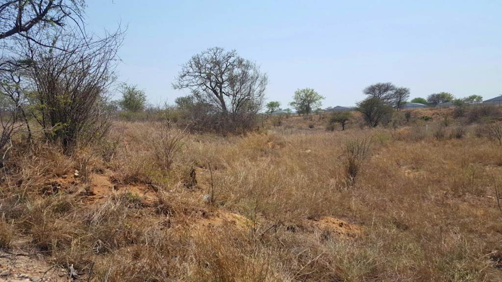 1 ha Land available in Hoedspruit photo number 4