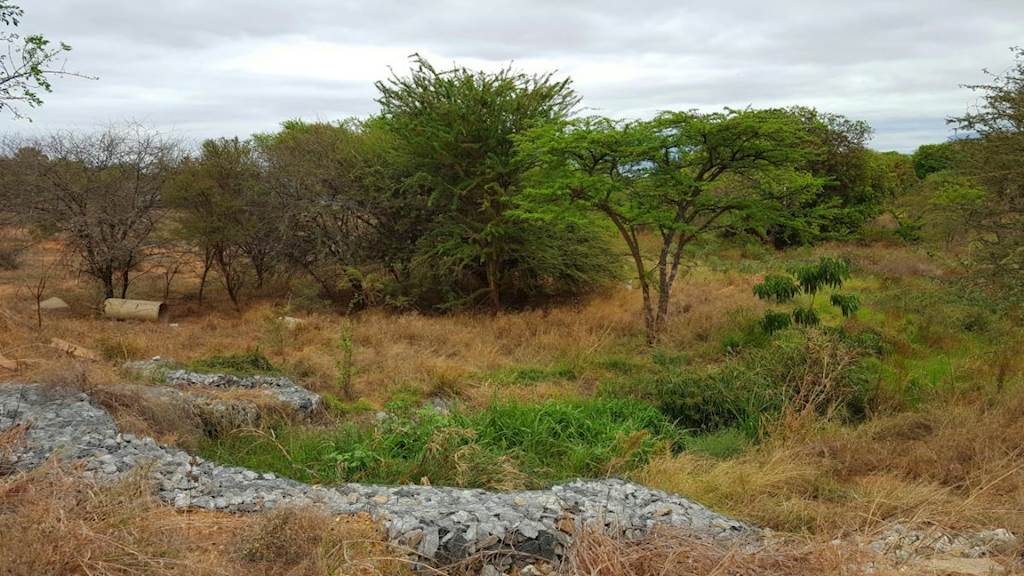 1 ha Land available in Hoedspruit photo number 10