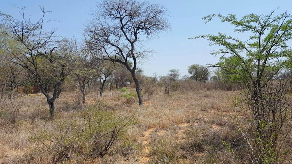 1 ha Land available in Hoedspruit photo number 8